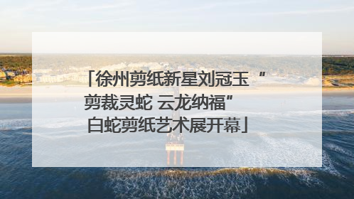 徐州剪纸新星刘冠玉“剪裁灵蛇 云龙纳福” 白蛇剪纸艺术展开幕