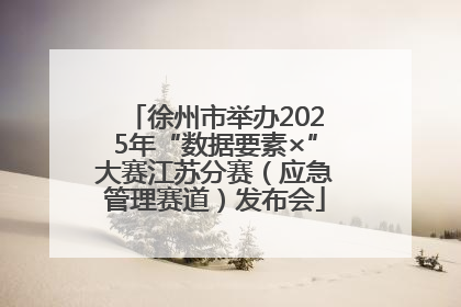 徐州市举办2025年“数据要素×”大赛江苏分赛（应急管理赛道）发布会