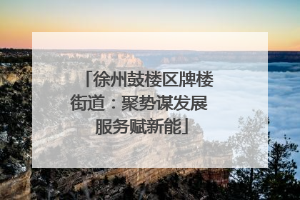 徐州鼓楼区牌楼街道：聚势谋发展 服务赋新能