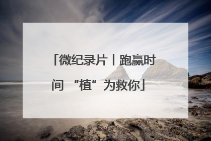 微纪录片丨跑赢时间 “植”为救你