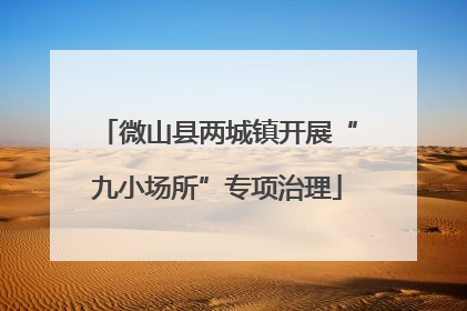 微山县两城镇开展“九小场所”专项治理