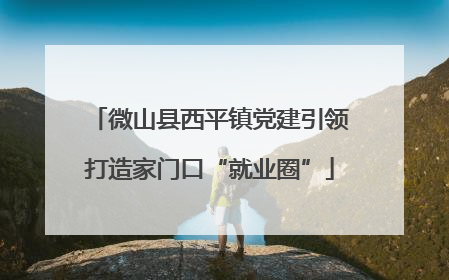 微山县西平镇党建引领打造家门口“就业圈”