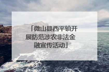 微山县西平镇开展防范涉农非法金融宣传活动