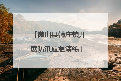 微山县韩庄镇开展防汛应急演练