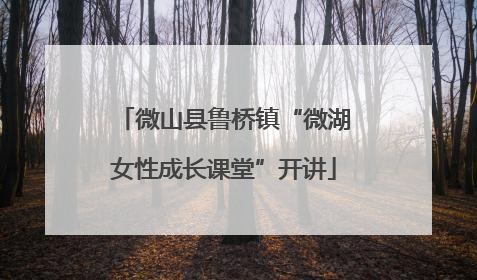 微山县鲁桥镇“微湖女性成长课堂”开讲