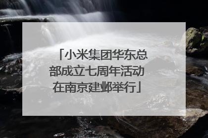 小米集团华东总部成立七周年活动在南京建邺举行