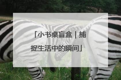小书桌盲盒｜捕捉生活中的瞬间