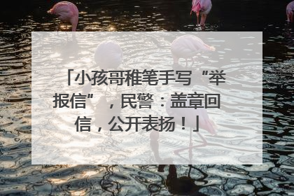 小孩哥稚笔手写“举报信”，民警：盖章回信，公开表扬！
