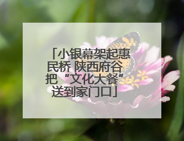 小银幕架起惠民桥 陕西府谷把“文化大餐”送到家门口