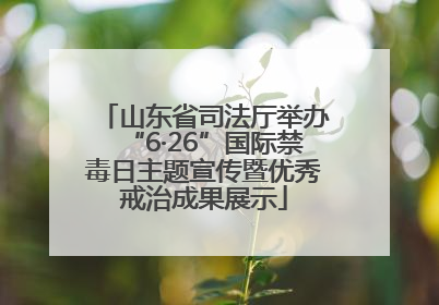 山东省司法厅举办“6·26”国际禁毒日主题宣传暨优秀戒治成果展示