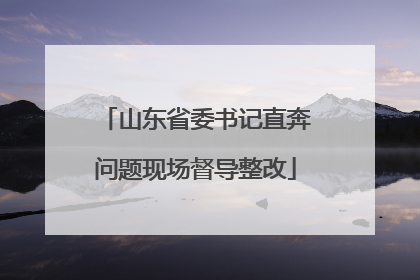 山东省委书记直奔问题现场督导整改