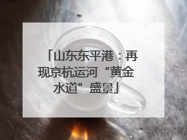 山东东平港：再现京杭运河“黄金水道”盛景