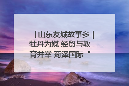 山东友城故事多｜牡丹为媒 经贸与教育并举 菏泽国际“朋友圈”扩容升级
