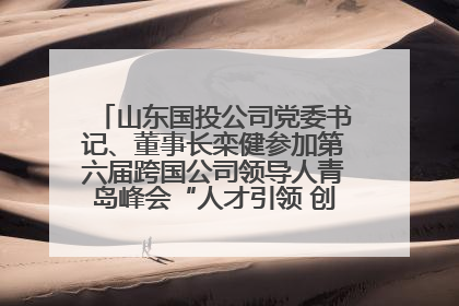 山东国投公司党委书记、董事长栾健参加第六届跨国公司领导人青岛峰会“人才引领 创新驱动”人力资源高质量发展对话会