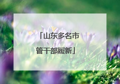 山东多名市管干部履新