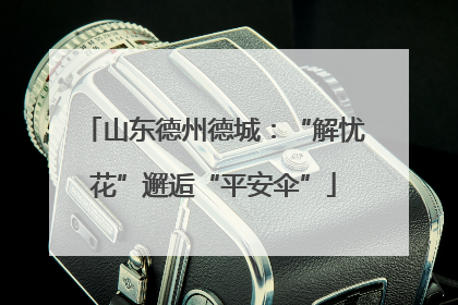 山东德州德城：“解忧花”邂逅“平安伞”