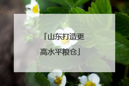 山东打造更高水平粮仓