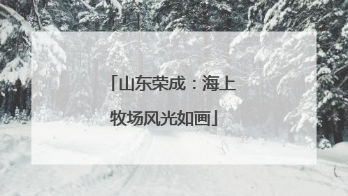 山东荣成：海上牧场风光如画