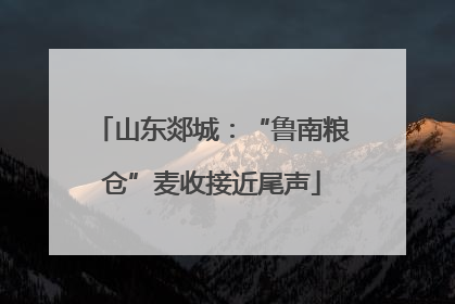 山东郯城：“鲁南粮仓”麦收接近尾声