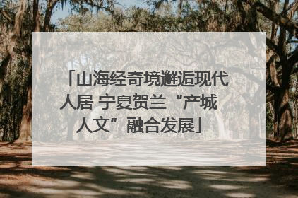 山海经奇境邂逅现代人居 宁夏贺兰“产城人文”融合发展