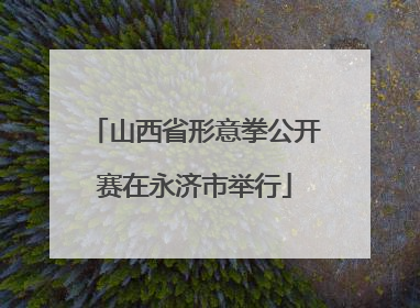 山西省形意拳公开赛在永济市举行