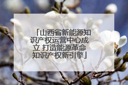 山西省新能源知识产权运营中心成立 打造能源革命知识产权新引擎