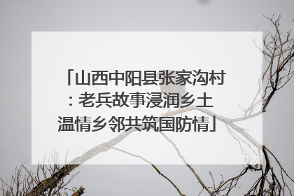 山西中阳县张家沟村：老兵故事浸润乡土 温情乡邻共筑国防情