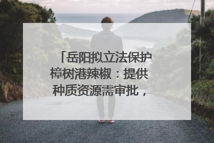 岳阳拟立法保护樟树港辣椒：提供种质资源需审批，违规最高罚5万