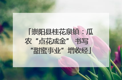 崇阳县桂花泉镇：瓜农“点花成金” 书写“甜蜜事业”增收经