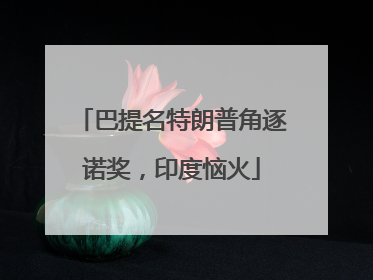 巴提名特朗普角逐诺奖，印度恼火