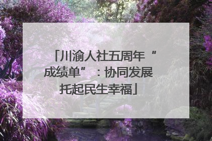 川渝人社五周年“成绩单”：协同发展托起民生幸福