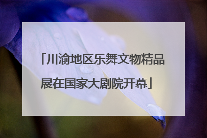 川渝地区乐舞文物精品展在国家大剧院开幕