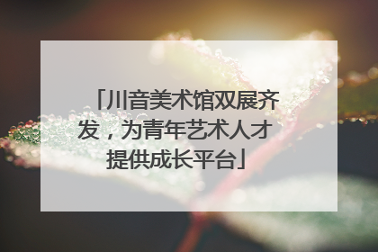 川音美术馆双展齐发，为青年艺术人才提供成长平台