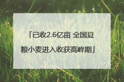 已收2.6亿亩 全国夏粮小麦进入收获高峰期