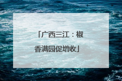 广西三江：椒香满园促增收