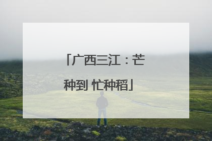 广西三江：芒种到 忙种稻