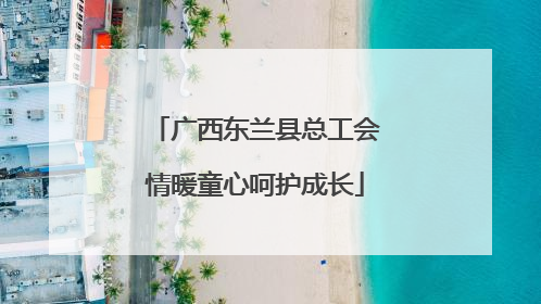 广西东兰县总工会情暖童心呵护成长