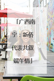广西南宁：新侨代表共叙端午情