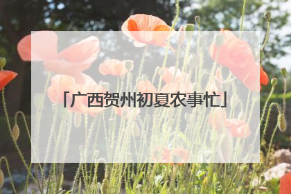 广西贺州初夏农事忙