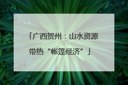 广西贺州：山水资源带热“帐篷经济”
