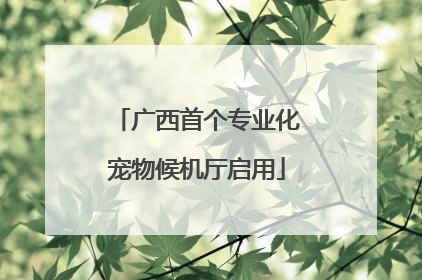 广西首个专业化宠物候机厅启用