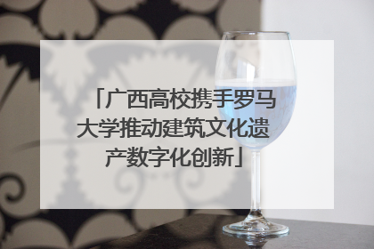 广西高校携手罗马大学推动建筑文化遗产数字化创新