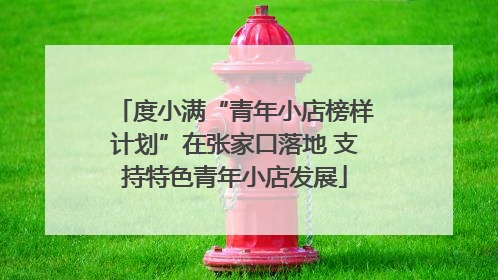 度小满“青年小店榜样计划”在张家口落地 支持特色青年小店发展