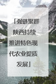 强链聚群 陕西持续推进特色现代农业提质发展