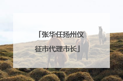 张华任扬州仪征市代理市长
