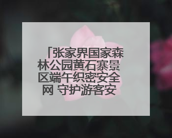 张家界国家森林公园黄石寨景区端午织密安全网 守护游客安心游