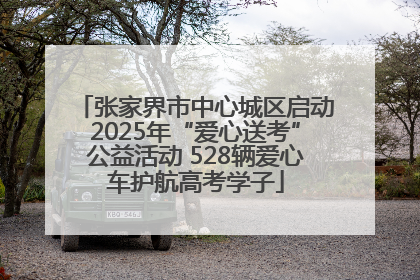 张家界市中心城区启动2025年“爱心送考”公益活动 528辆爱心车护航高考学子