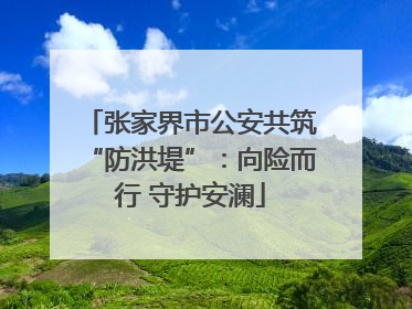 张家界市公安共筑“防洪堤”：向险而行 守护安澜