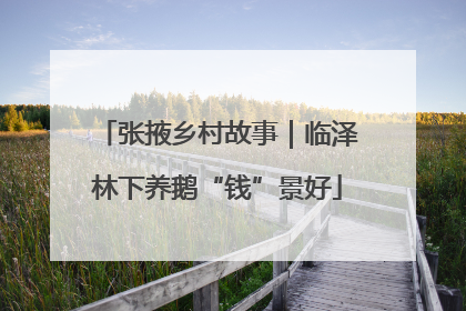 张掖乡村故事｜临泽林下养鹅“钱”景好
