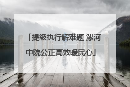 提级执行解难题 漯河中院公正高效暖民心